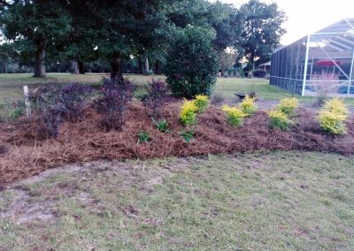 Baldwin Turf - Landscape Design