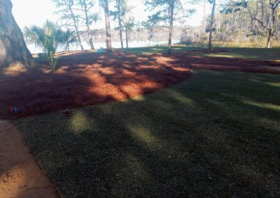 Baldwin Turf - Landscape Design