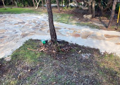 Baldwin Turf - Landscape Design