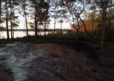 Baldwin Turf - Landscape Design