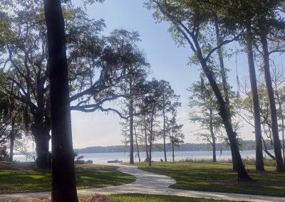 Baldwin Turf - Landscape Design