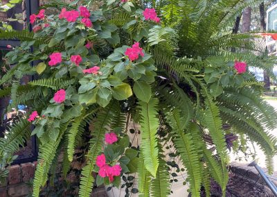 Baldwin Turf - Flowers