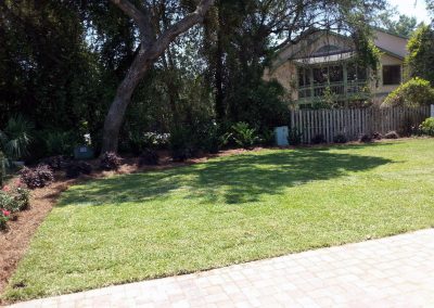 Baldwin Turf - Turf Options